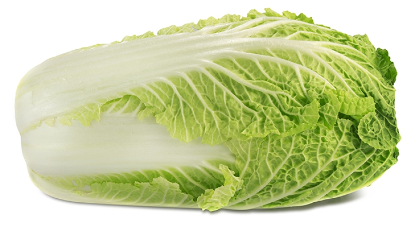 napa cabbage