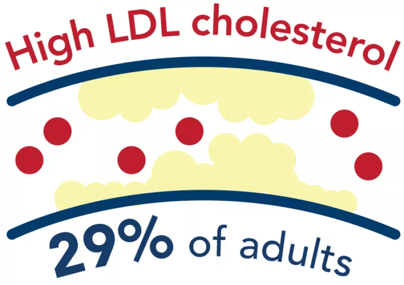 high LDL cholesterol infographic