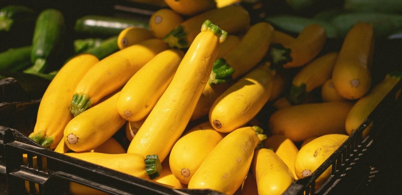 seasonal produce - yellow summer squash for sale at a farmers market