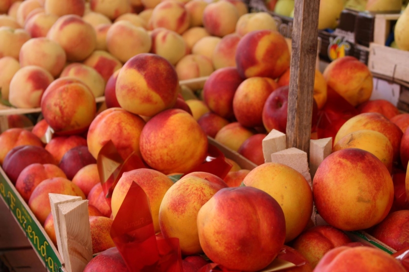 seasonal produce- fresh peaches for sale at a farmers market