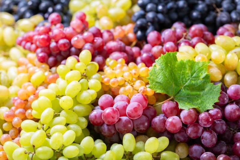 Seasonal produce - a variety of fresh grapes for sale at market