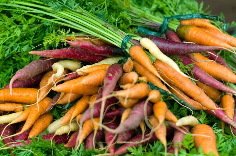 Heirloom multicolored carrots in a basket