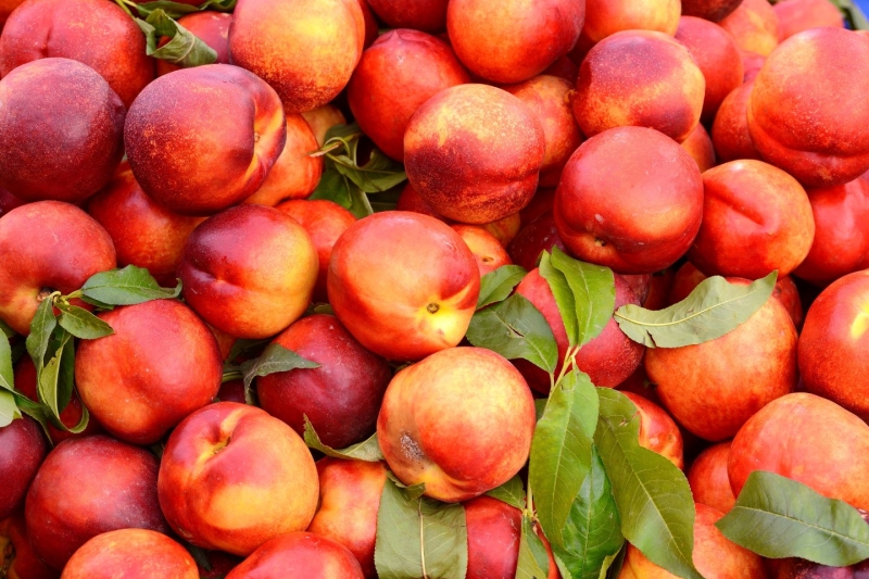 Seasonal produce - a crate of fresh, ripe nectarines for sale