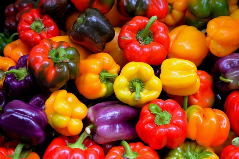 Colorful peppers for sale at an Oregon farmer's market