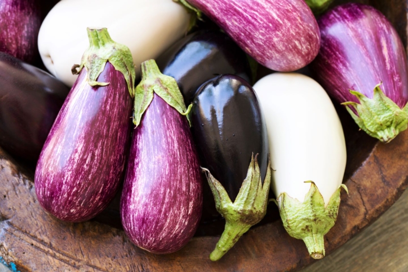 Fresh eggplant in a variety of colors