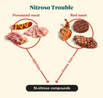 diagram of food and nitroso compounds