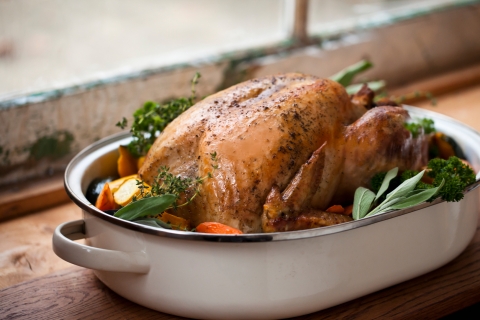 Holiday Food Safety Tips | Center for Science in the ...